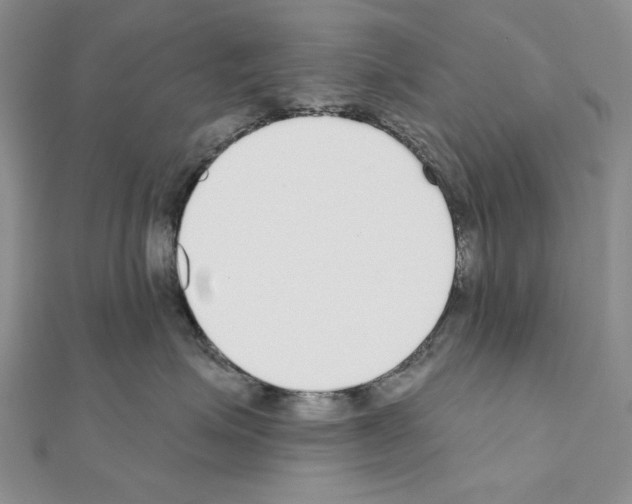 X0000110920623200907301604