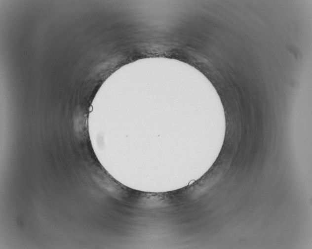 X0000110920624200907301604