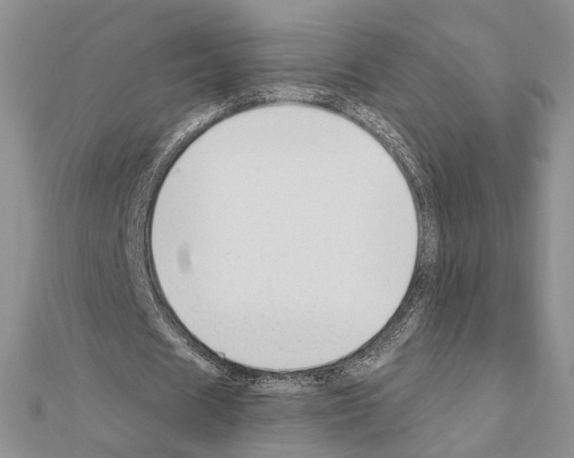X0000110920625200907301603