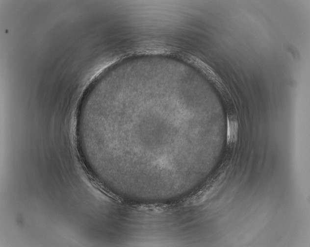 X0000110920627200907301603