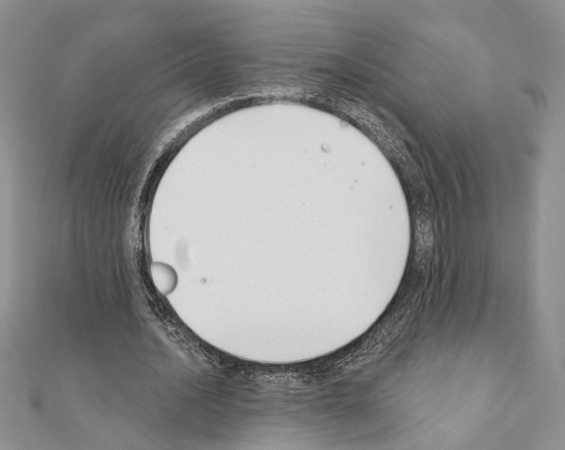 X0000110920628200907301603