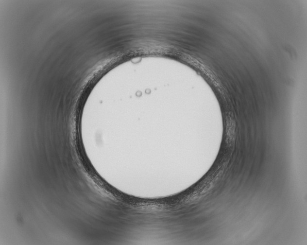 X0000110920629200907301603