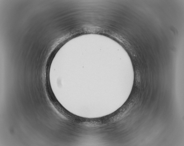 X0000110920630200907301603
