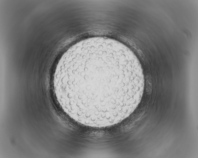 X0000110920631200907301603