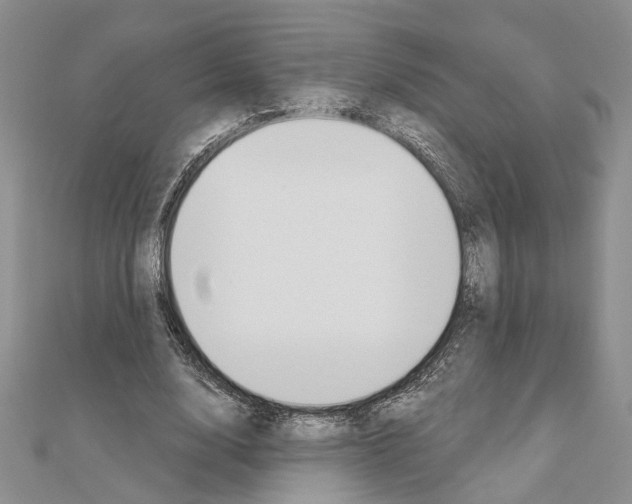 X0000110920632200907301603