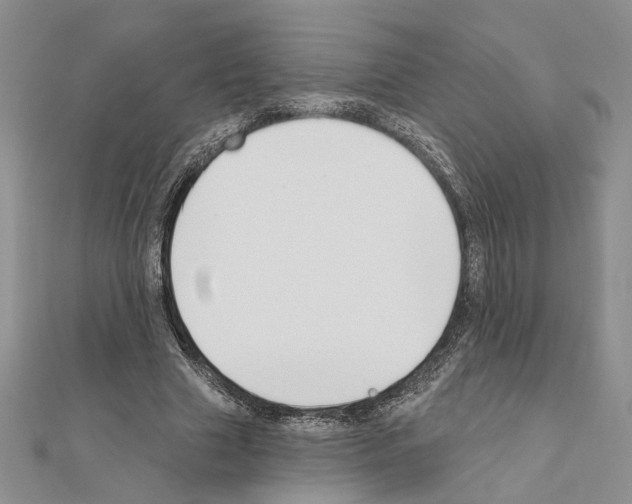 X0000110920633200907301603