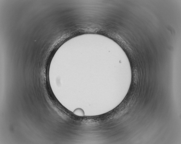 X0000110920634200907301603