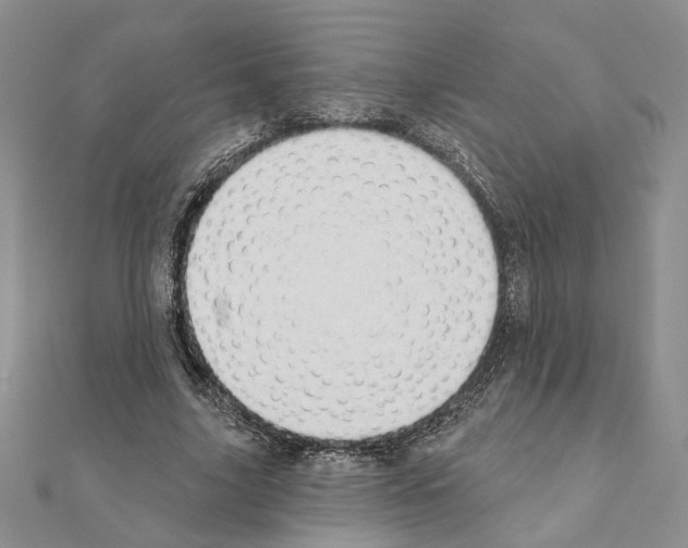X0000110920635200907301603