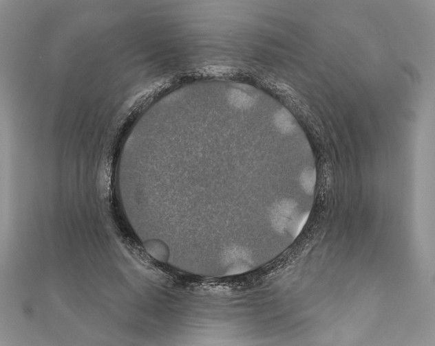 X0000110920640200907301603