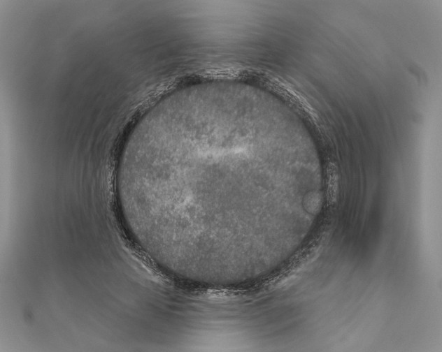X0000110920641200907301603