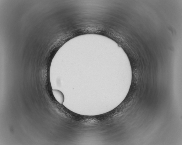X0000110920642200907301603