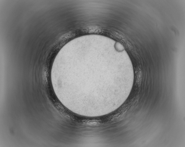 X0000110920643200907301603