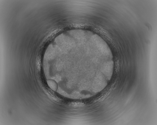 X0000110920644200907301603