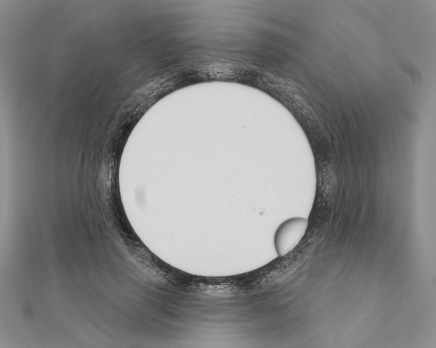 X0000110920645200907301603
