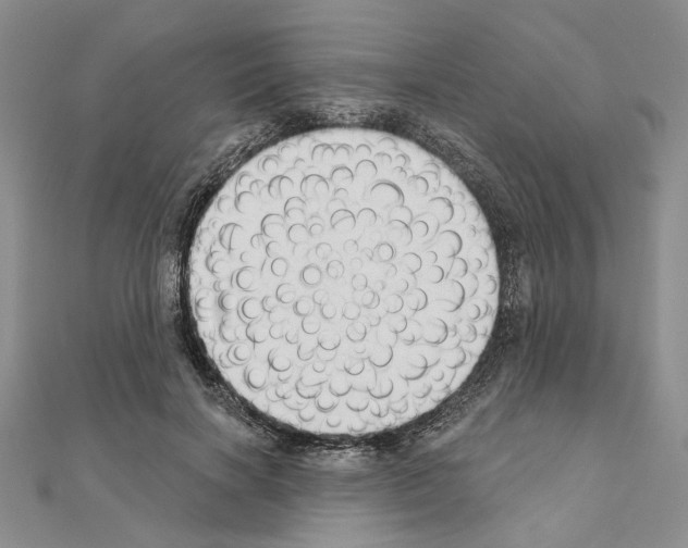 X0000110920646200907301603