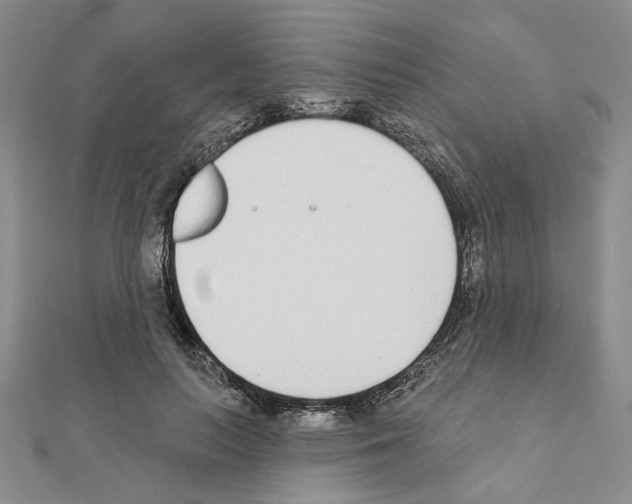 X0000110920647200907301603