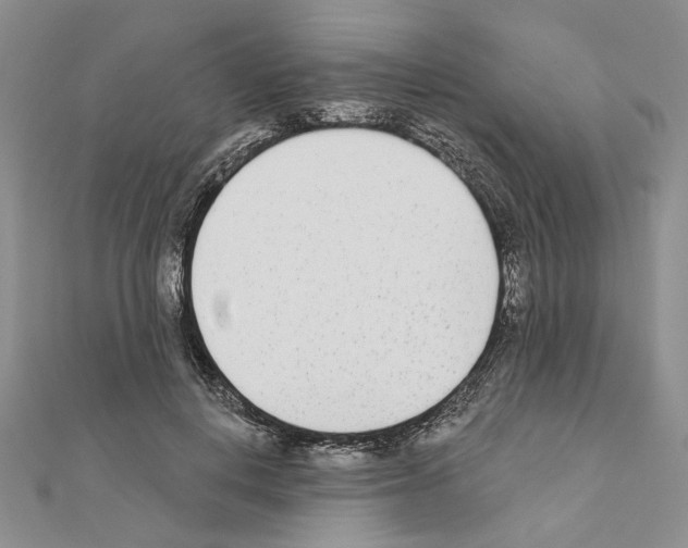 X0000110920648200907301603