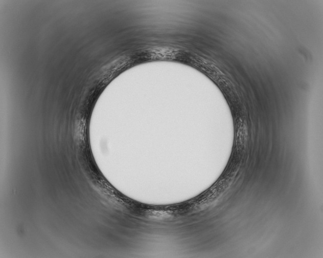 X0000110920649200907301603