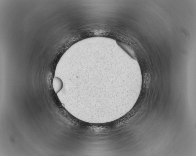 X0000110920650200907301603