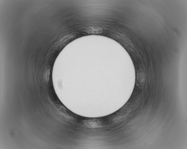 X0000110920652200907301603