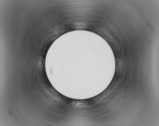 X0000110920655200907301604