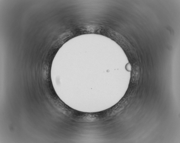 X0000110920656200907301604