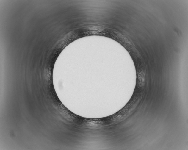 X0000110920657200907301604