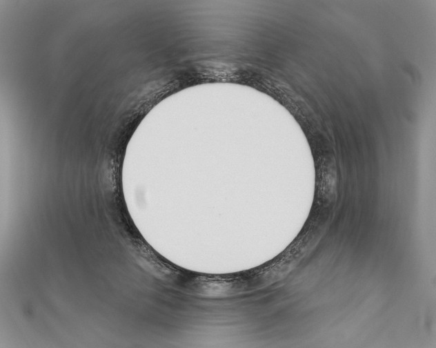 X0000110920658200907301604