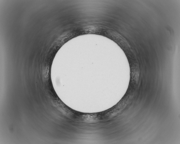 X0000110920660200907301604