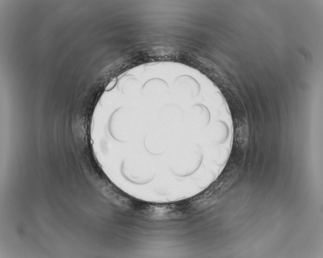 X0000110920662200907301604