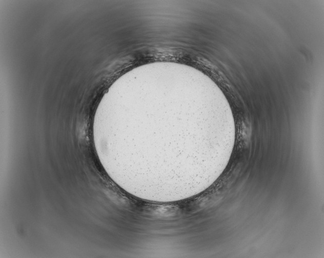 X0000110920663200907301604