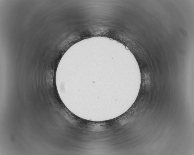 X0000110920664200907301604