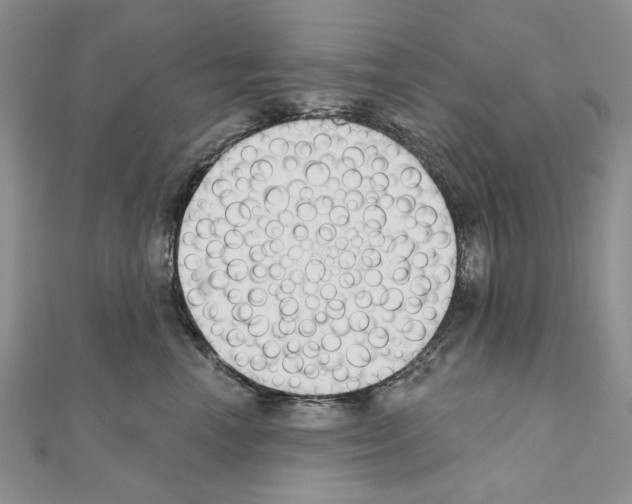 X0000110920666200907301604