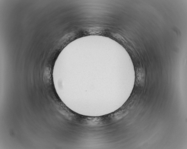X0000110920667200907301604