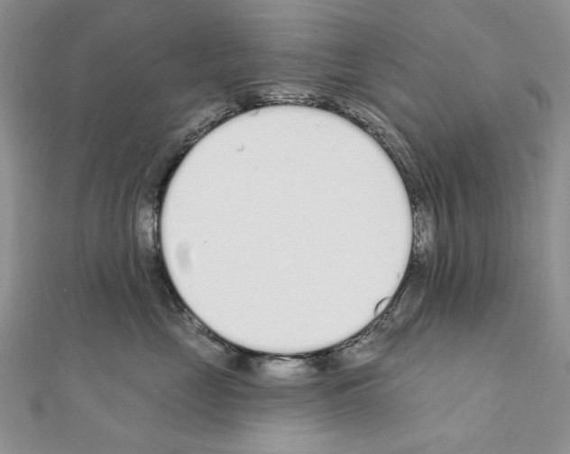 X0000110920669200907301604