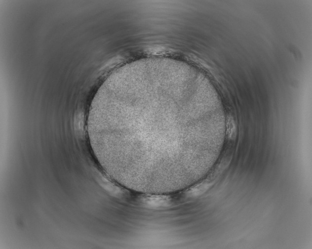 X0000110920670200907301604
