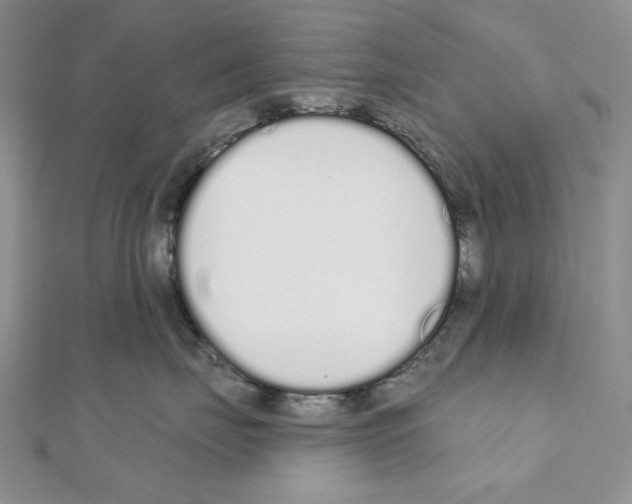 X0000110920671200907301604