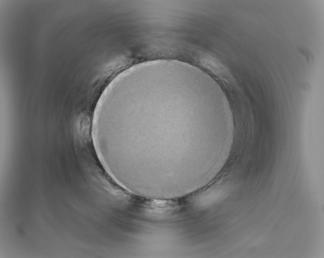 X0000110920672200907301604