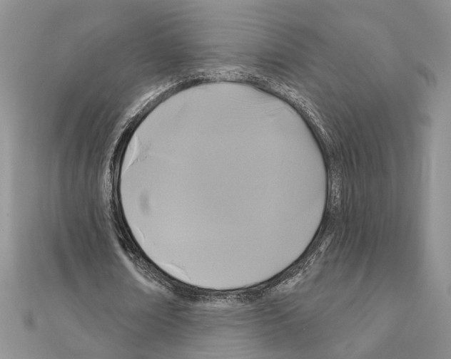 X0000110920674200907301603