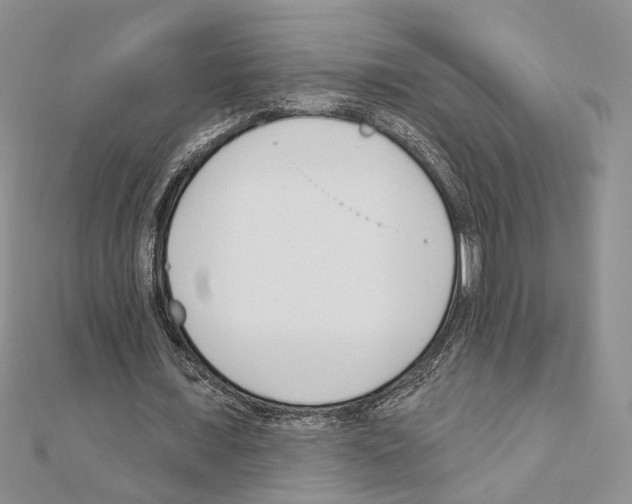 X0000110920675200907301603