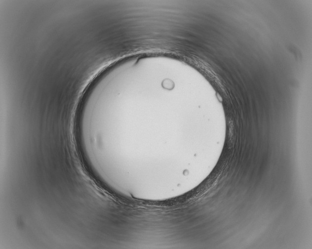 X0000110920676200907301603