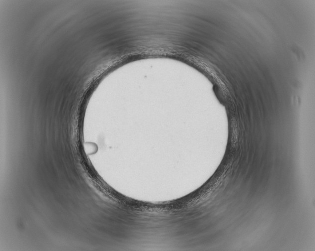X0000110920677200907301603