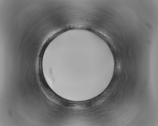 X0000110920678200907301603