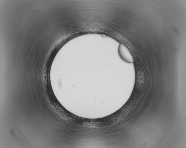 X0000110920680200907301603