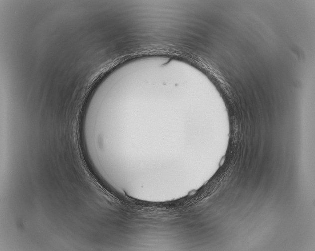X0000110920681200907301603