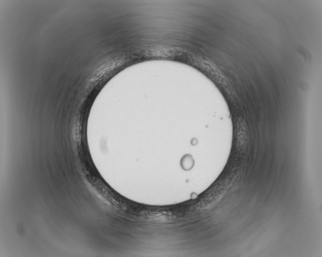 X0000110920683200907301603