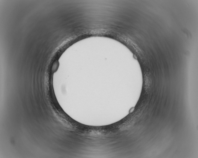 X0000110920684200907301603
