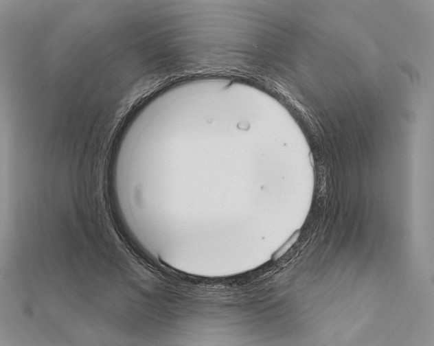 X0000110920685200907301603