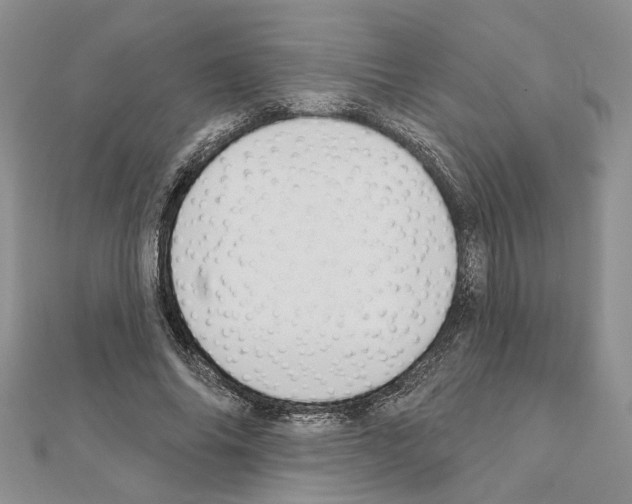 X0000110920686200907301603
