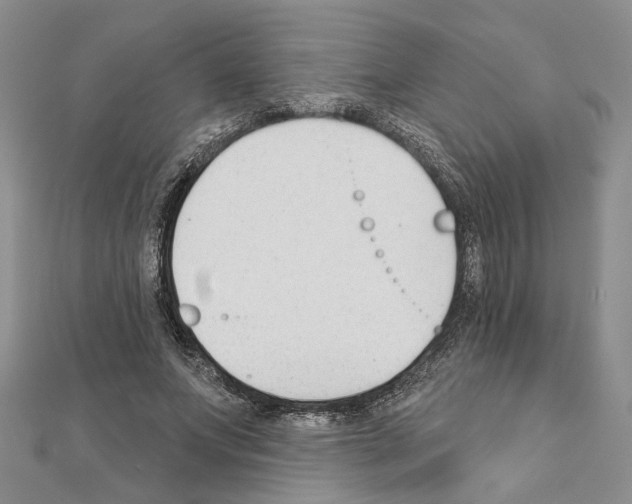 X0000110920687200907301603
